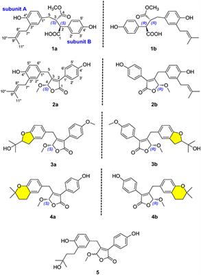 α-Glucosidase Inhibitors From the Coral-Associated Fungus Aspergillus terreus